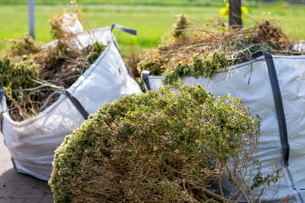 Trusted Perryville, AR Junk Removal Services Experts